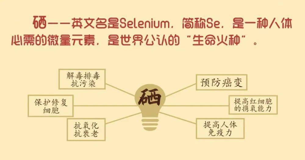 蛋白粉能和硒一块儿补吗
