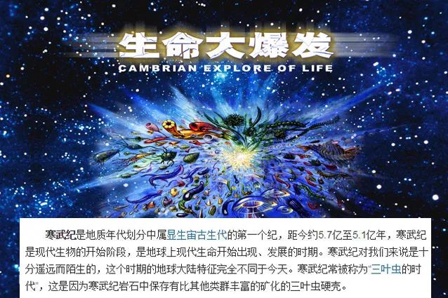 怎么判断是不是富硒产品