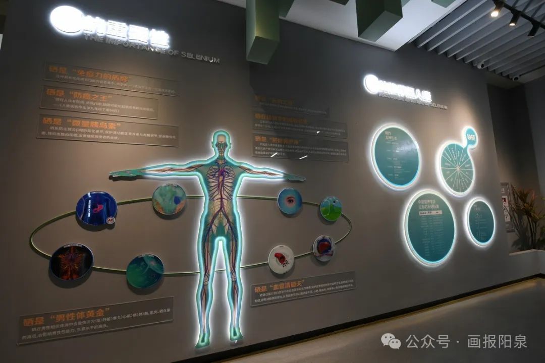 富硒农产品怎样降低价格