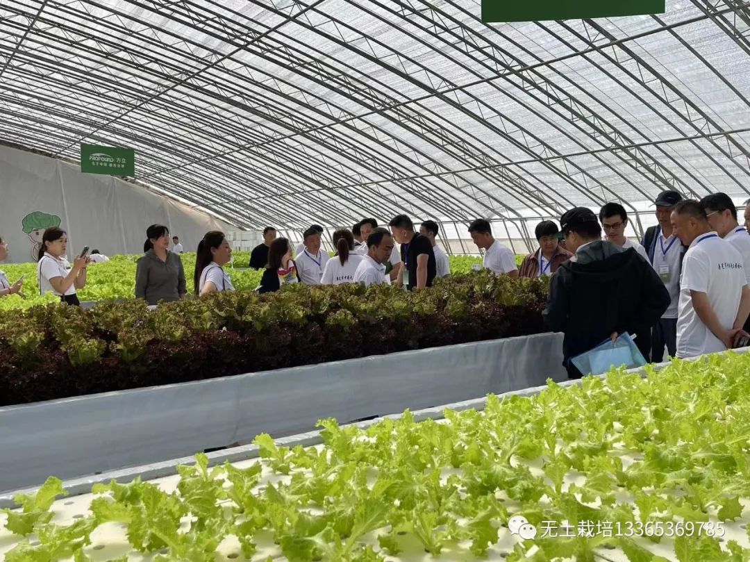 富硒农产品种植技术要点