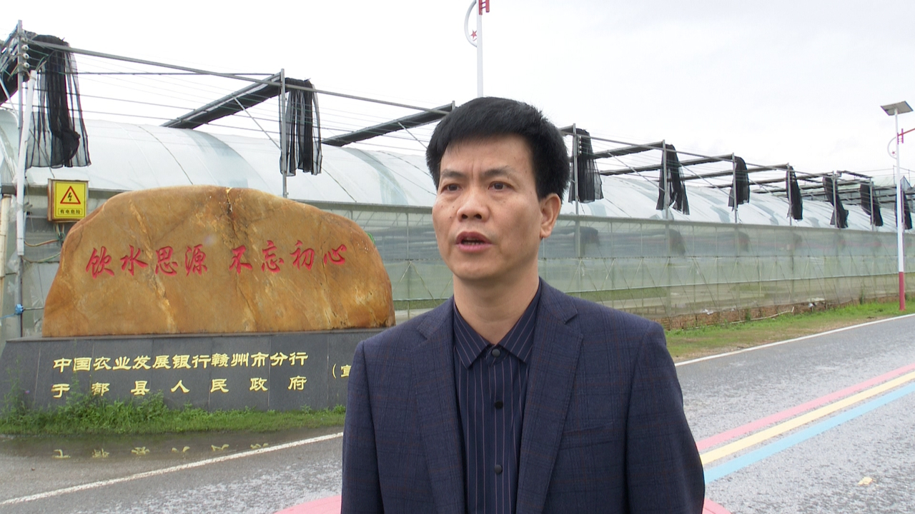 于都富硒农产品包装设计