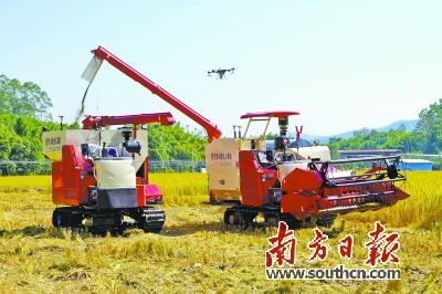 玉米富硒产品含量标准号