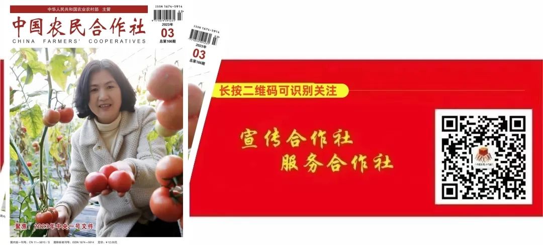 怎么卖富硒粮食产品挣钱