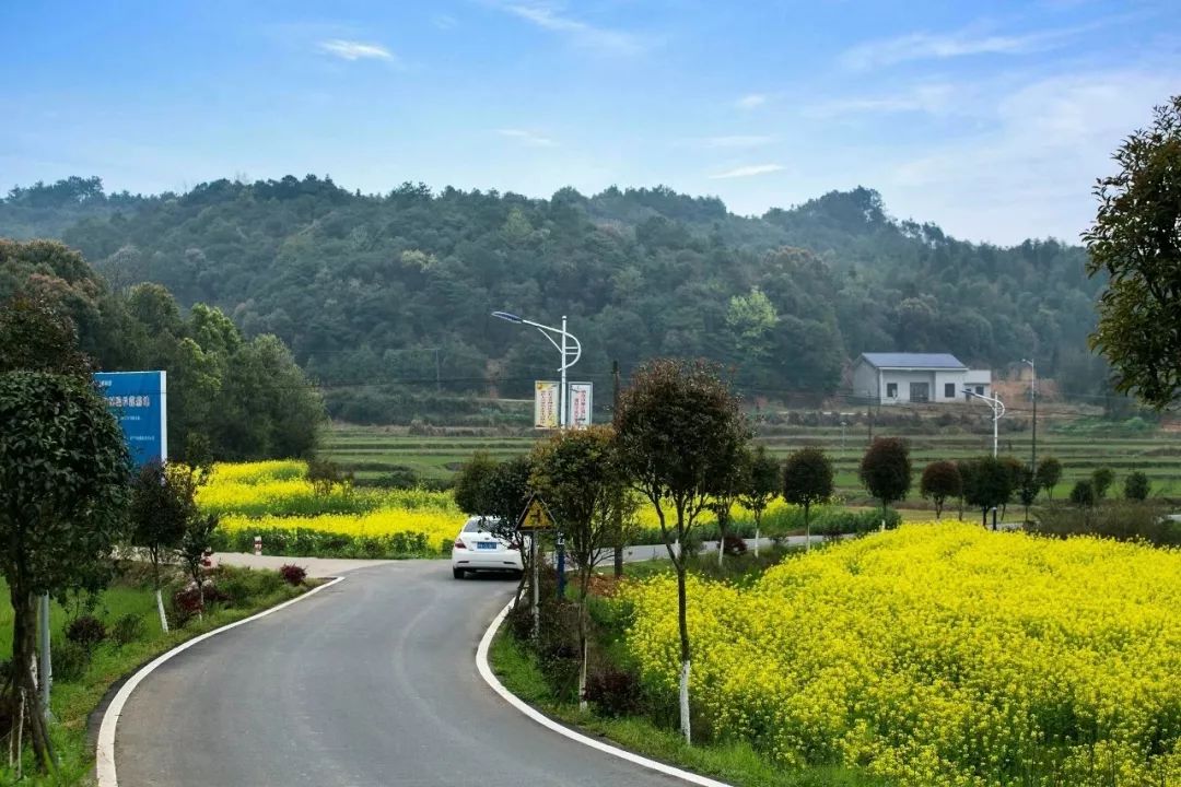 南山镇富硒小镇实际产品