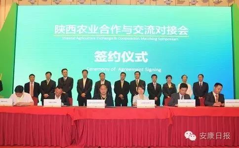 阳晨集团农产品富硒产品