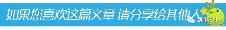 恩施富硒产品卖到哪里了
