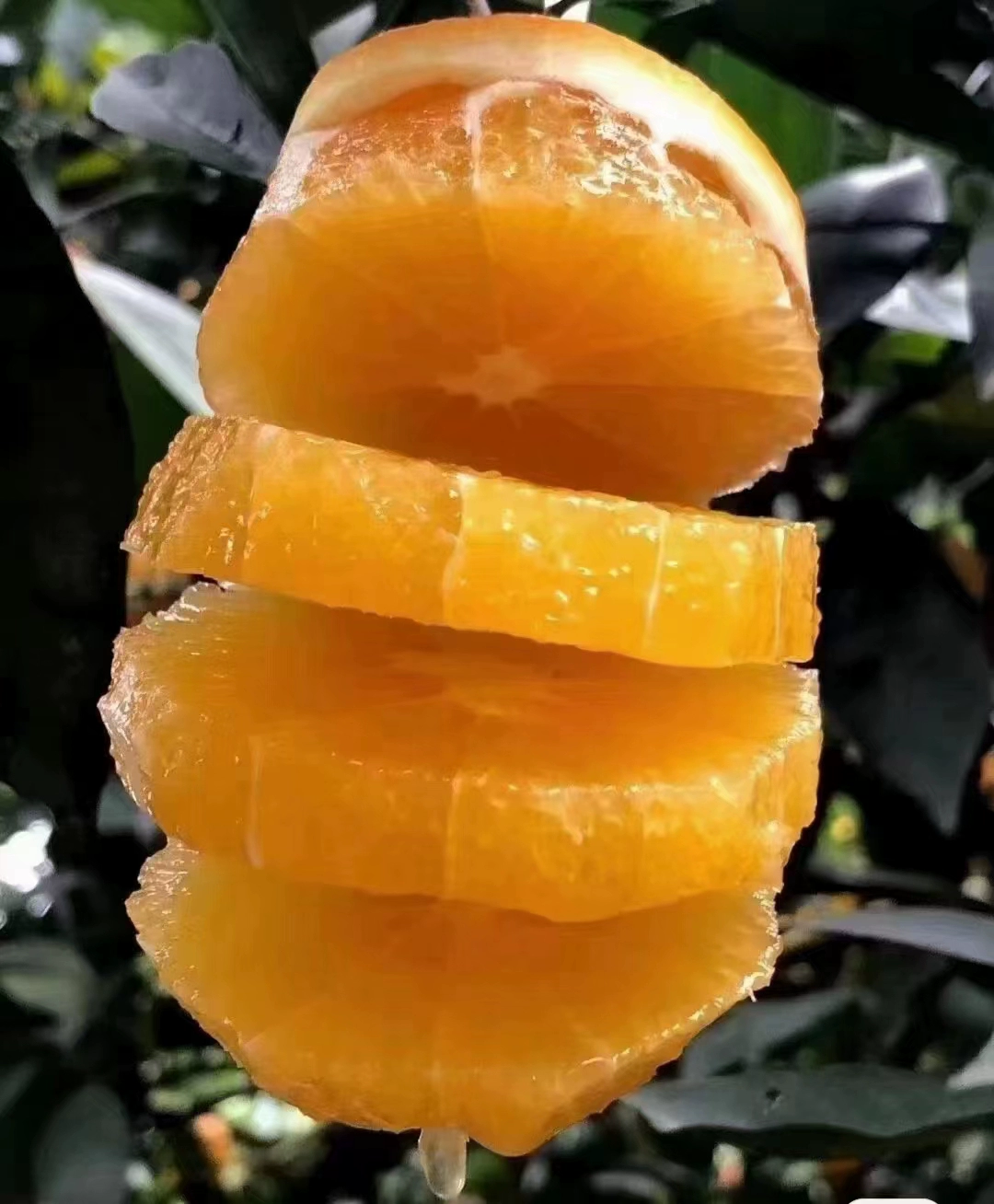 赣州发布首个富硒水产品
