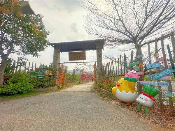 广西巴马主要富硒农产品