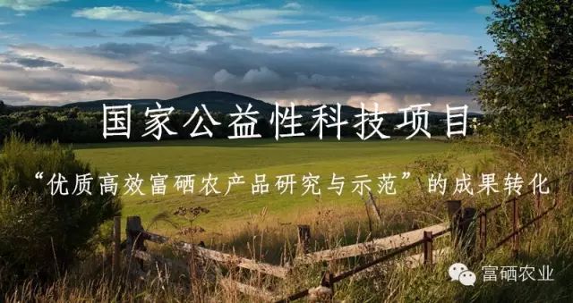 富硒农产品权威检测机构
