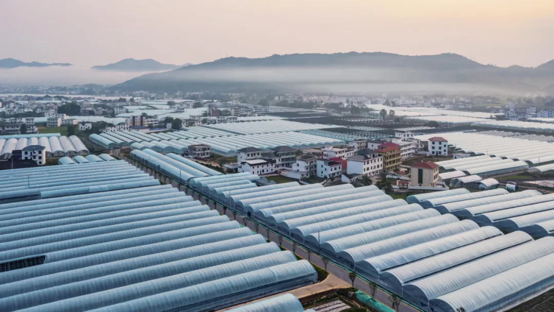 于都县富硒产品脐橙基地