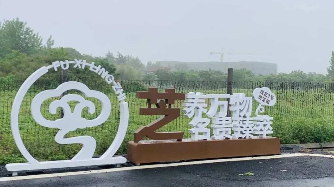 富硒酵素农产品怎么生产