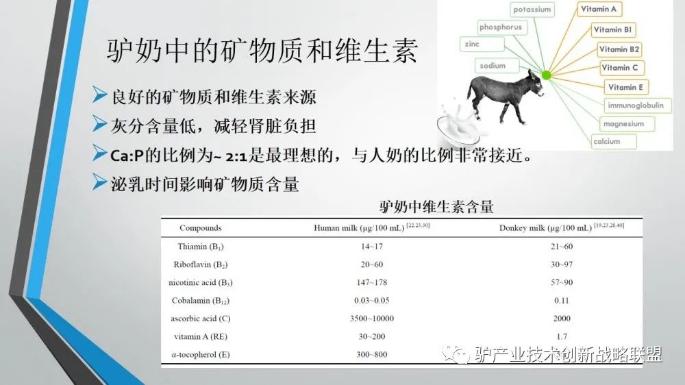 富硒冻干食品有哪些产品