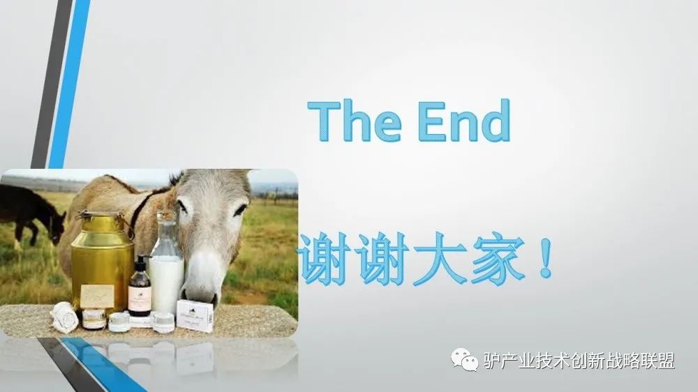 富硒冻干食品有哪些产品