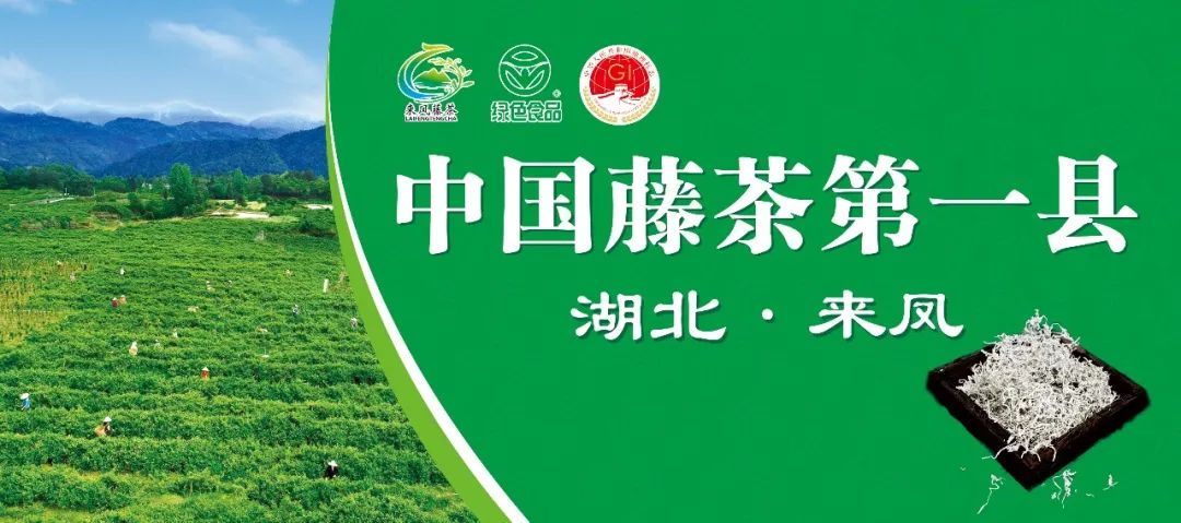 富硒农产品介绍演讲大会