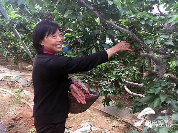 富硒农产品代理如何销售