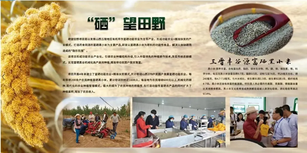 晋城富硒农产品公司简介