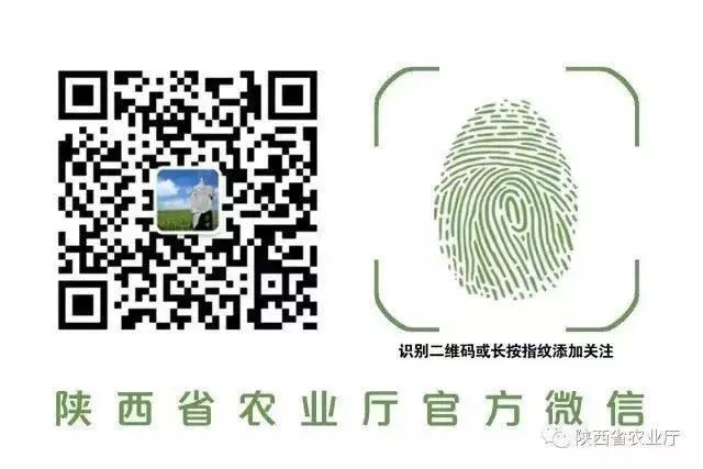 生态富硒农产品系列活动
