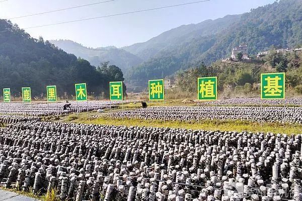 广西富硒农产品认证程序