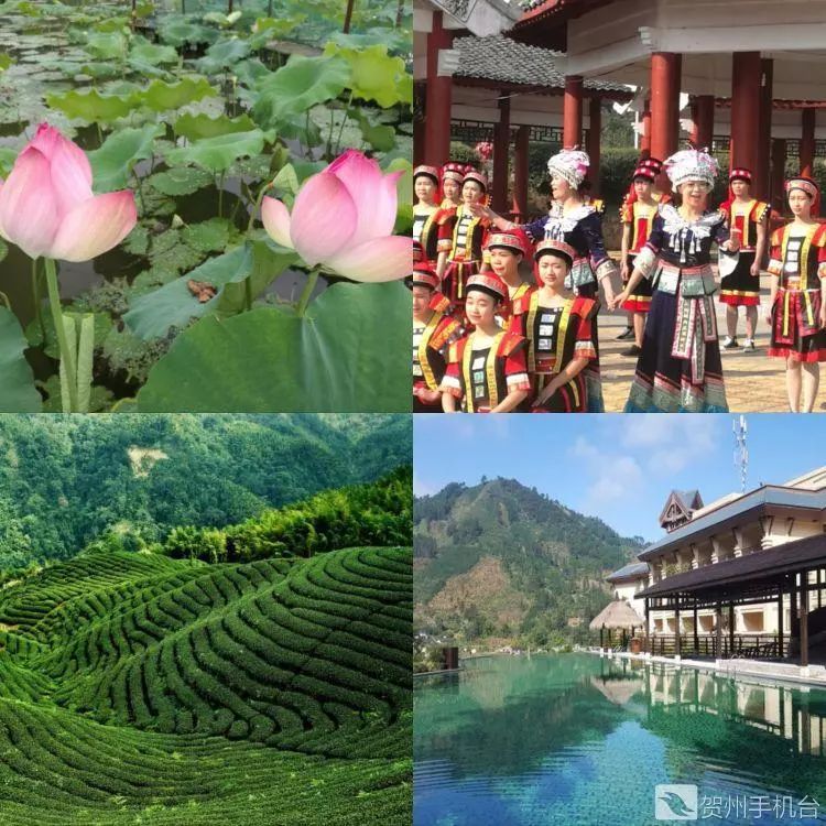 广西富硒农产品认证程序