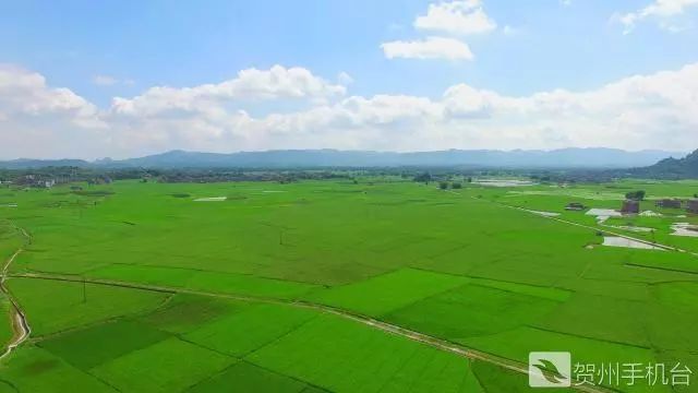广西富硒农产品认证程序