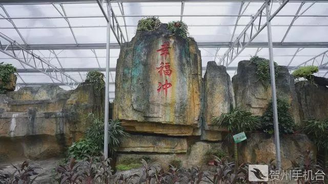 广西富硒农产品认证程序