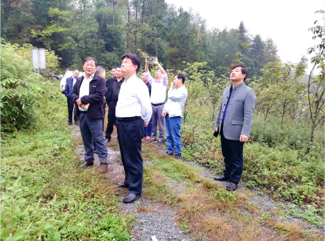 富硒产品认证标准是什么