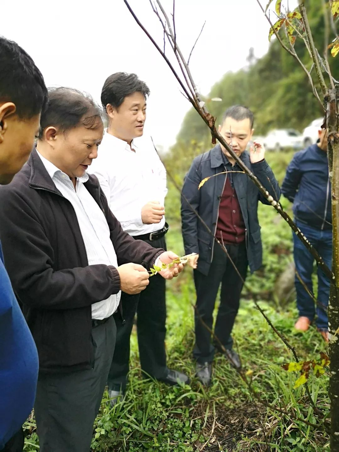 富硒产品认证标准是什么