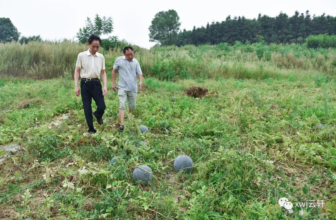 消费者对富硒产品的态度