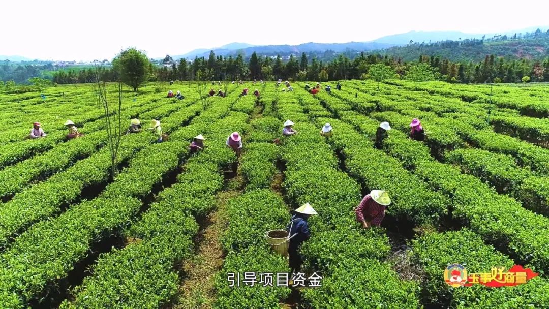 玉林市富硒产品有多少个