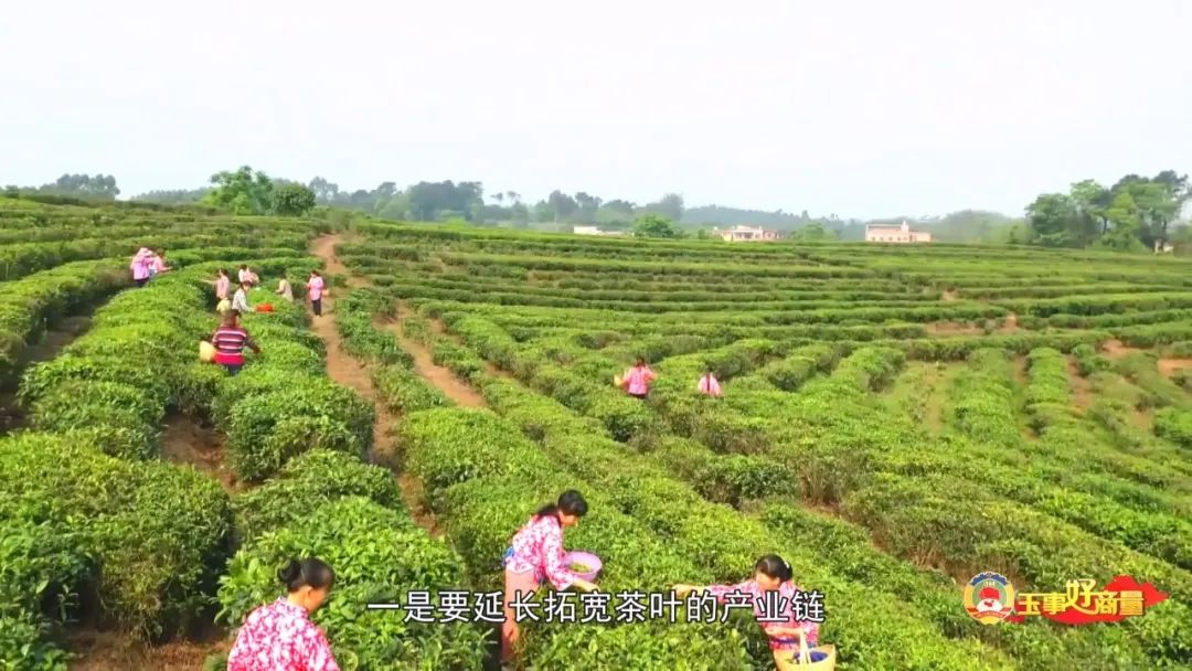 玉林市富硒产品有多少个