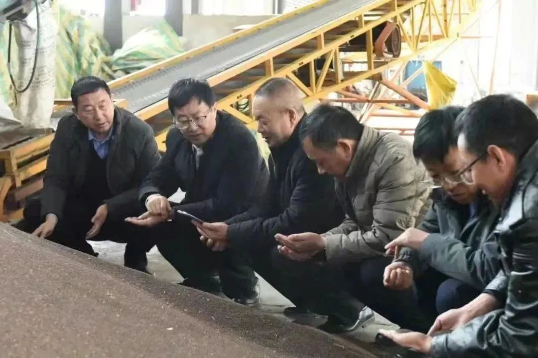 富硒农产品项目自查报告