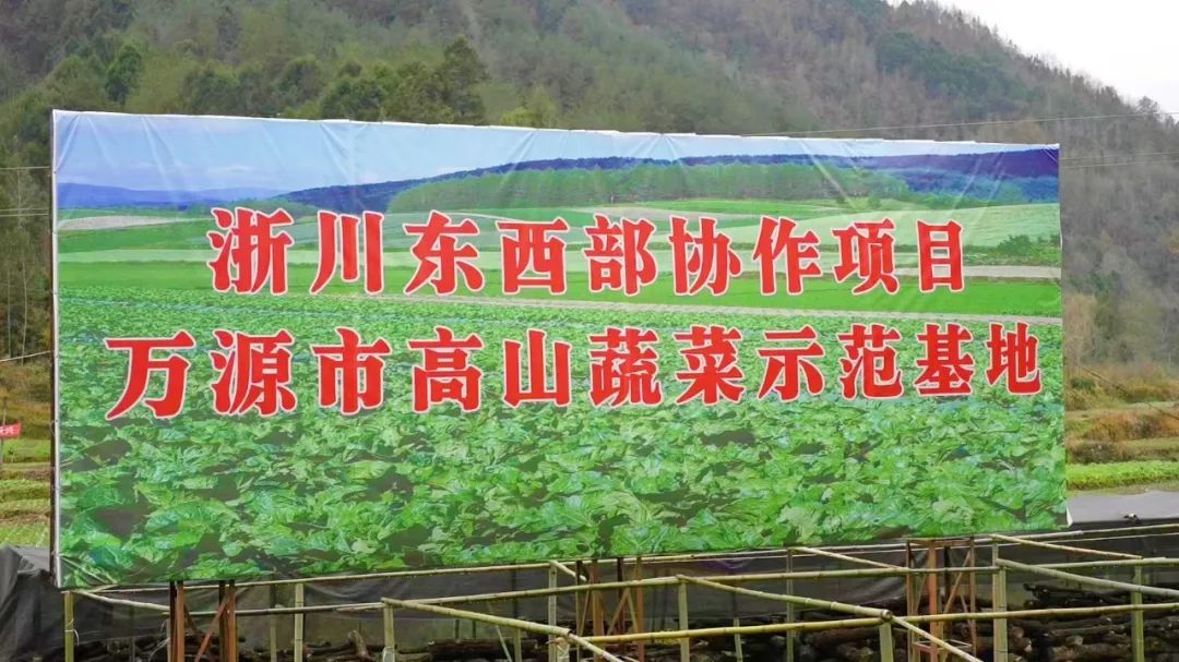 四川省富硒产品种植基地