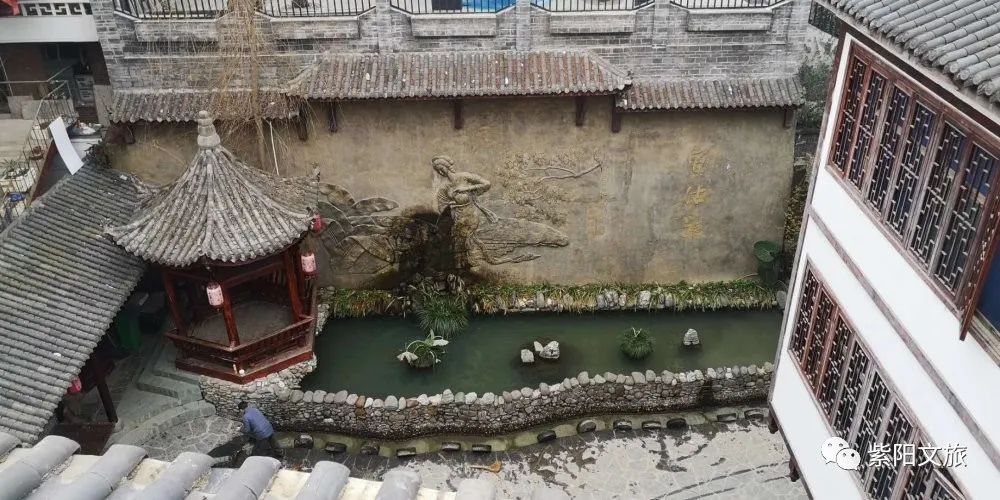 陕南富硒茶的功效与作用