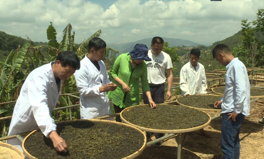 卖得比较好的富硒茶价格