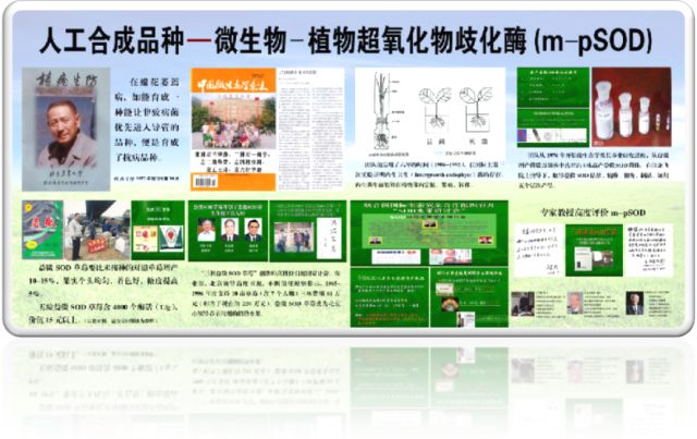 什么地方生产高山富硒茶