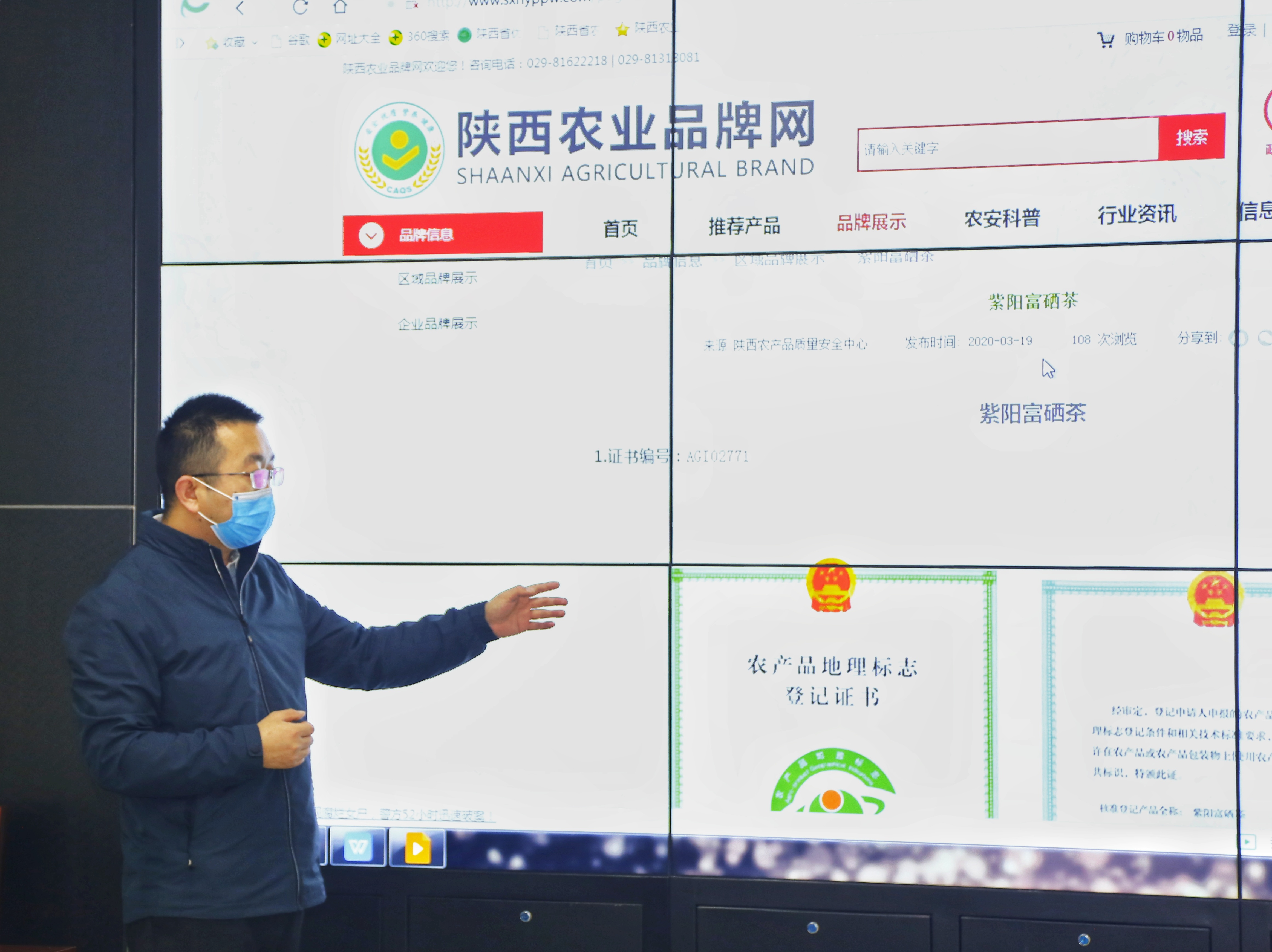陕西  富硒茶  仙毫