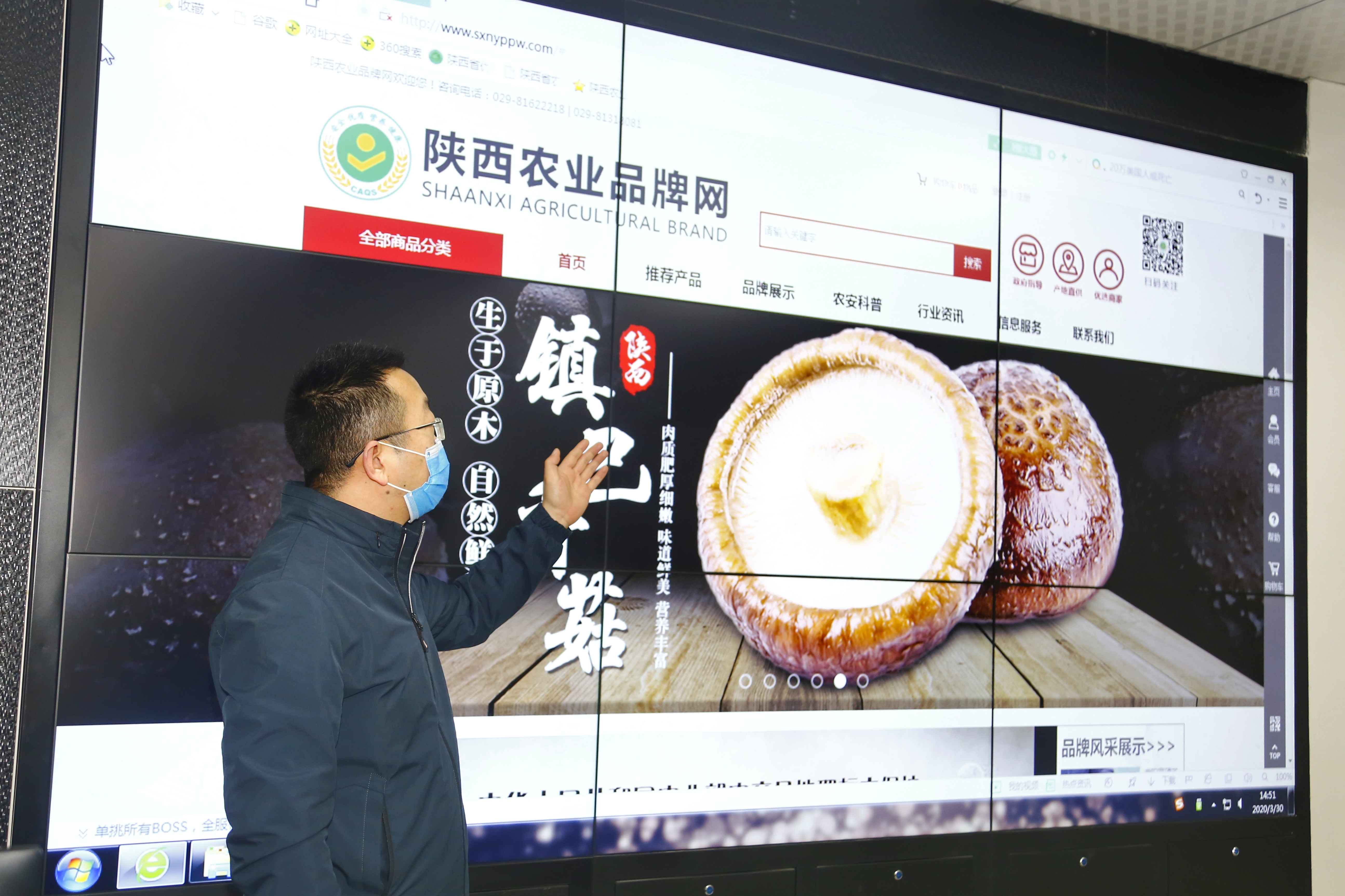 陕西  富硒茶  仙毫