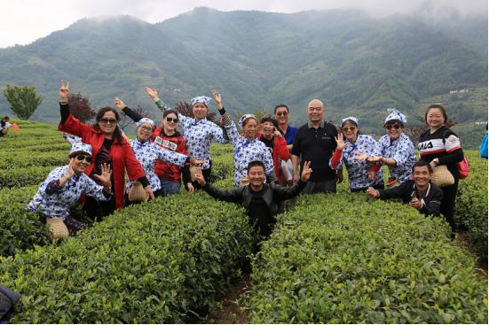 紫阳明前富硒茶2022