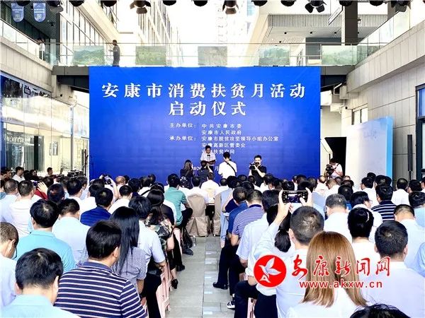 紫阳富硒茶采摘现场视频