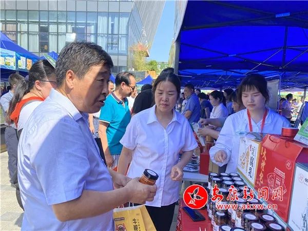紫阳富硒茶采摘现场视频