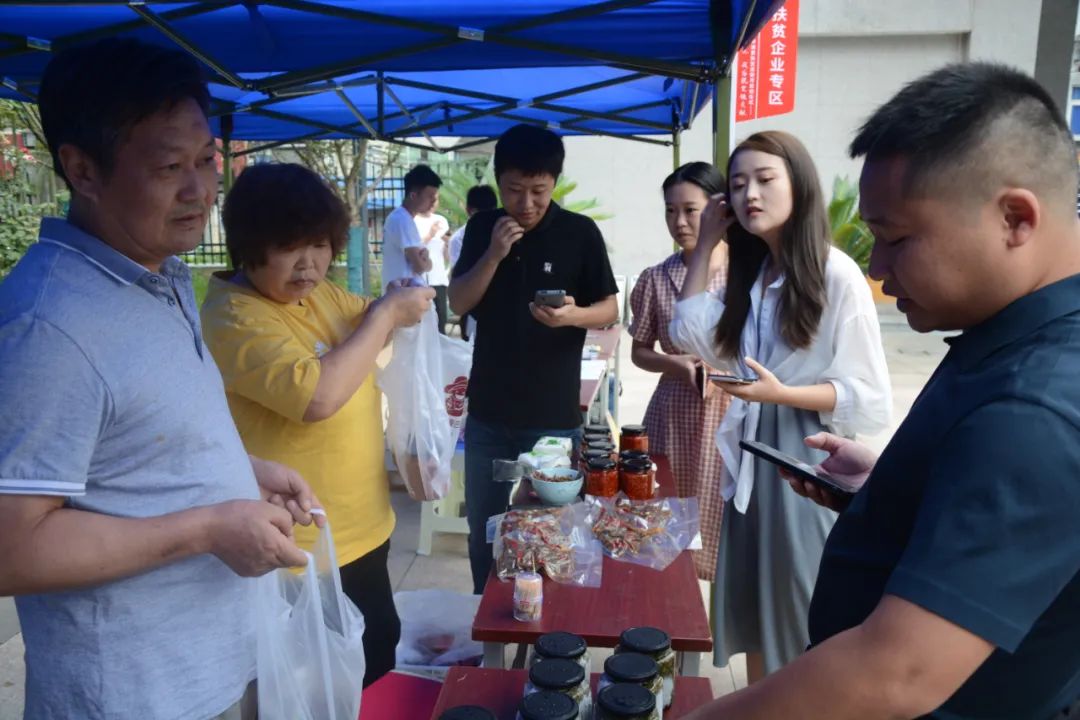紫阳富硒茶采摘现场视频
