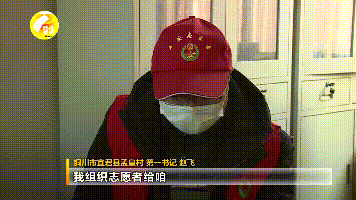 紫阳富硒茶采摘现场视频
