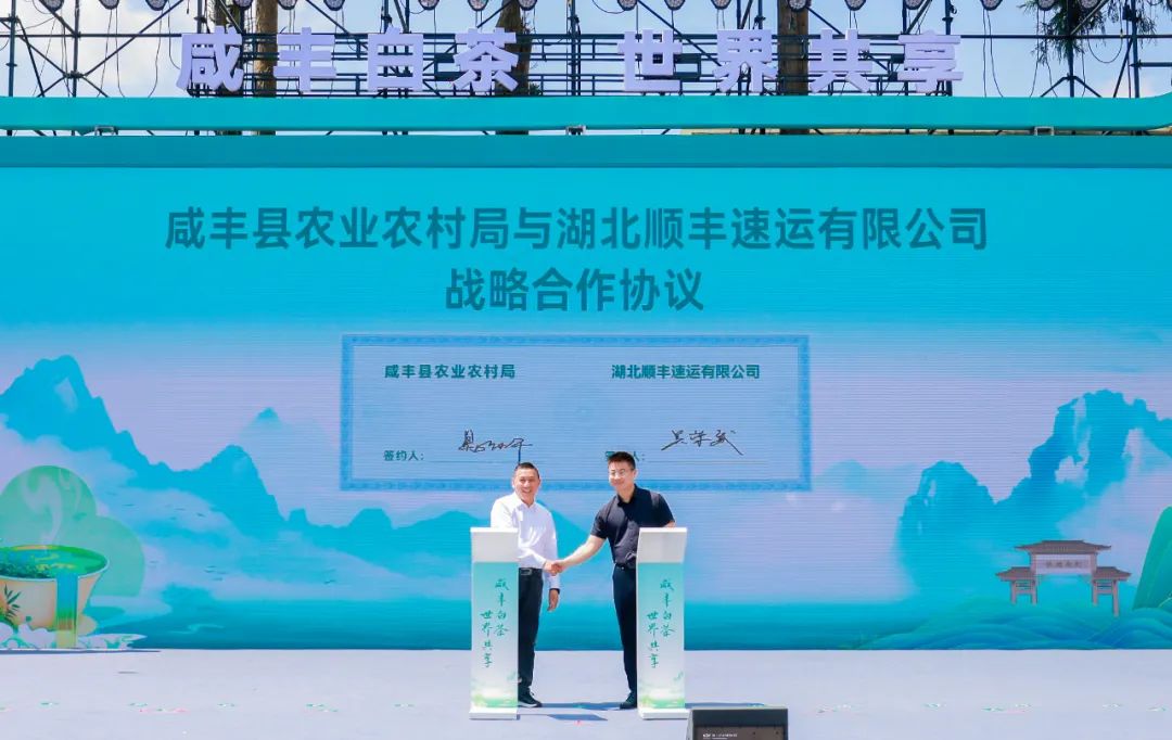 江西富硒茶恩施玉露加工