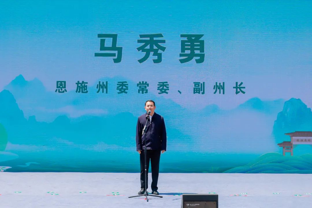 江西富硒茶恩施玉露加工