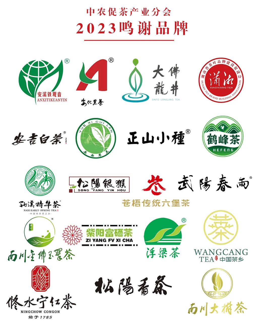 江西富硒茶恩施玉露加工