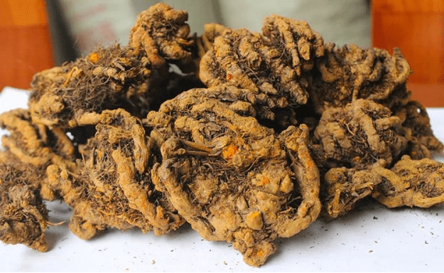 北京富硒茶恩施玉露价格