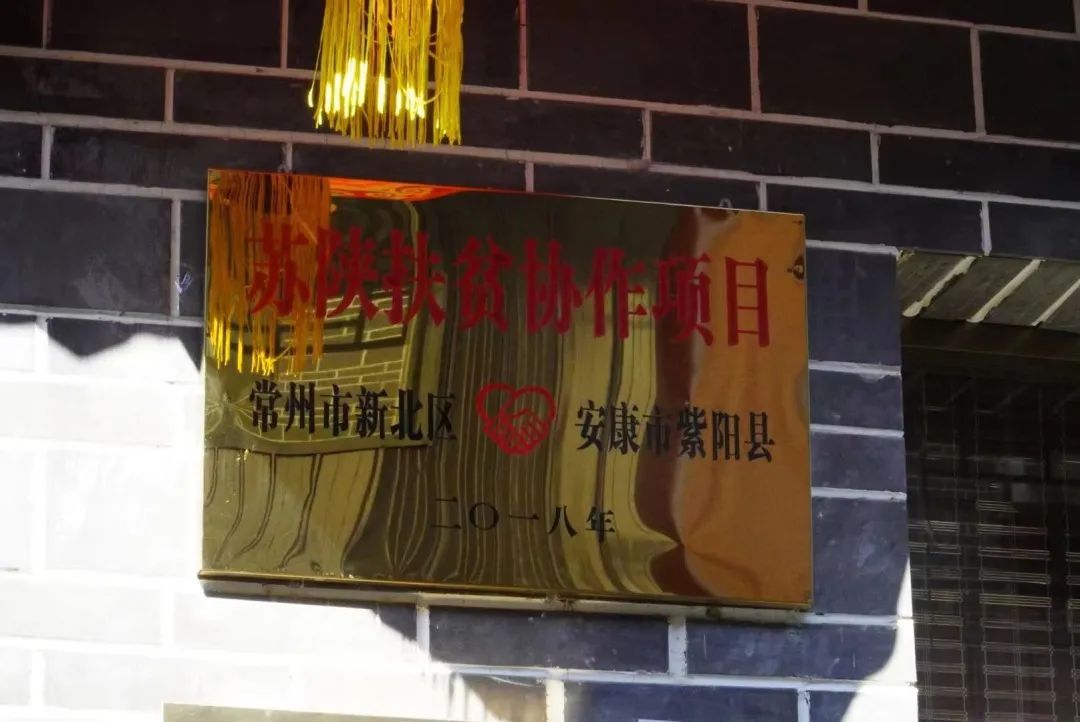 紫阳富硒茶区域品牌建设
