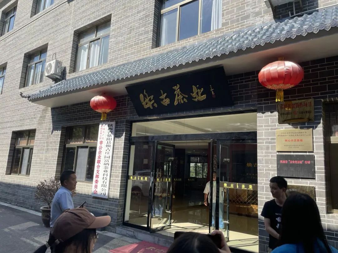 紫阳富硒茶区域品牌建设
