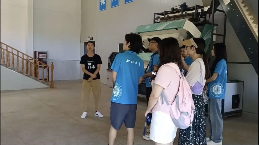 紫阳富硒茶区域品牌建设