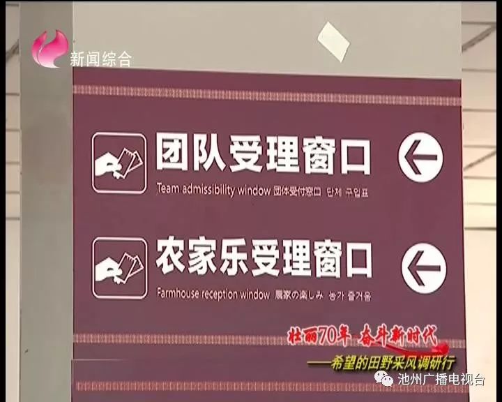 仙寓山富硒茶属于什么茶